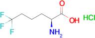 (S)-2-Amino-6,6,6-trifluorohexanoic acid hydrochloride