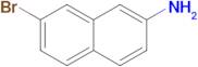 7-Bromonaphthalen-2-amine