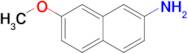 7-Methoxynaphthalen-2-amine