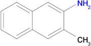 3-Methylnaphthalen-2-amine