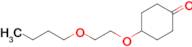 4-(2-Butoxyethoxy)cyclohexan-1-one