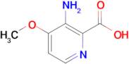 3-Amino-4-methoxypicolinic acid