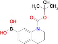 (1-(tert-Butoxycarbonyl)-1,2,3,4-tetrahydroquinolin-7-yl)boronic acid