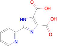 2-(Pyridin-2-yl)-1H-imidazole-4,5-dicarboxylic acid