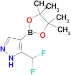 5-(difluoromethyl)-4-(4,4,5,5-tetramethyl-1,3,2-dioxaborolan-2-yl)-1H-pyrazole