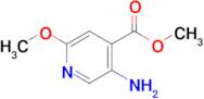 Methyl 5-amino-2-methoxyisonicotinate