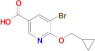 5-Bromo-6-(cyclopropylmethoxy)nicotinic acid