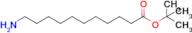 tert-Butyl 11-aminoundecanoate