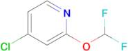 4-Chloro-2-(difluoromethoxy)pyridine