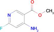 Methyl 4-amino-6-fluoronicotinate