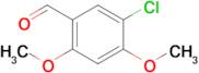 5-Chloro-2,4-dimethoxybenzaldehyde