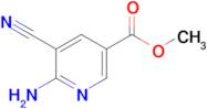 Methyl 6-amino-5-cyanonicotinate