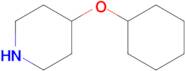 4-(Cyclohexyloxy)piperidine