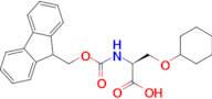 N-(((9H-Fluoren-9-yl)methoxy)carbonyl)-O-cyclohexyl-L-serine