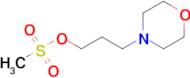 3-Morpholinopropyl methanesulfonate