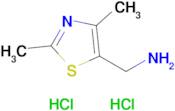 (2,4-Dimethylthiazol-5-yl)methanamine dihydrochloride