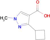 3-Cyclobutyl-1-methyl-1H-pyrazole-4-carboxylic acid