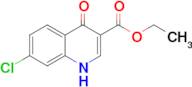 ethyl 7-chloro-4-oxo-1,4-dihydroquinoline-3-carboxylate