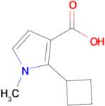 2-Cyclobutyl-1-methyl-1H-pyrrole-3-carboxylic acid