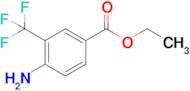 Ethyl 4-amino-3-(trifluoromethyl)benzoate