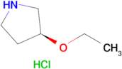 (S)-3-Ethoxypyrrolidine hydrochloride