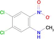 4,5-Dichloro-N-methyl-2-nitroaniline