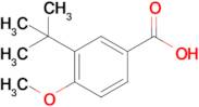 3-(tert-Butyl)-4-methoxybenzoic acid