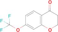 7-(Trifluoromethoxy)chroman-4-one