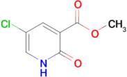 Methyl 5-chloro-2-oxo-1,2-dihydropyridine-3-carboxylate