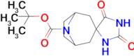 tert-Butyl 2',5'-dioxo-8-azaspiro[bicyclo[3.2.1]octane-3,4'-imidazolidine]-8-carboxylate