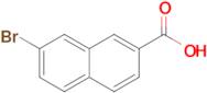 7-Bromo-2-naphthoic acid