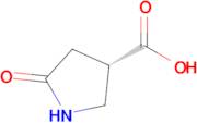 (S)-5-Oxopyrrolidine-3-carboxylic acid