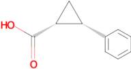 (1R,2S)-2-Phenylcyclopropanecarboxylic acid