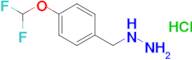 (4-(Difluoromethoxy)benzyl)hydrazine hydrochloride