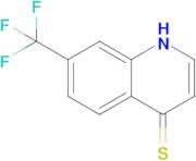 7-(trifluoromethyl)-1,4-dihydroquinoline-4-thione