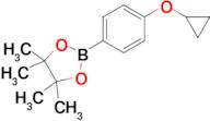 2-(4-Cyclopropoxyphenyl)-4,4,5,5-tetramethyl-1,3,2-dioxaborolane