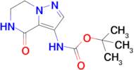 tert-Butyl (4-oxo-4,5,6,7-tetrahydropyrazolo[1,5-a]pyrazin-3-yl)carbamate