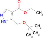 ethyl 5-[(tert-butoxy)methyl]-1H-pyrazole-4-carboxylate