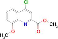 Methyl 4-chloro-8-methoxyquinoline-2-carboxylate