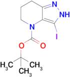 tert-butyl 3-iodo-2H,4H,5H,6H,7H-pyrazolo[4,3-b]pyridine-4-carboxylate