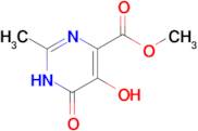 methyl 5-hydroxy-2-methyl-6-oxo-1,6-dihydropyrimidine-4-carboxylate