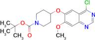 tert-Butyl 4-[(4-chloro-7-methoxyquinazolin-6-yl)oxy]piperidine-1-carboxylate