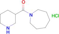 Azepan-1-yl(piperidin-3-yl)methanone hydrochloride