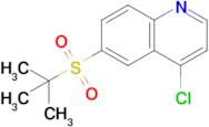 6-(tert-Butylsulfonyl)-4-chloroquinoline