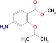 Methyl 4-amino-2-isopropoxybenzoate