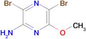 3,5-Dibromo-6-methoxy-2-aminopyrazine