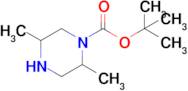 tert-Butyl 2,5-dimethylpiperazine-1-carboxylate