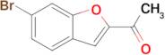 1-(6-Bromobenzofuran-2-yl)ethanone
