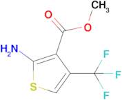 Methyl 2-amino-4-(trifluoromethyl)thiophene-3-carboxylate