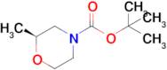 (S)-tert-Butyl 2-methylmorpholine-4-carboxylate